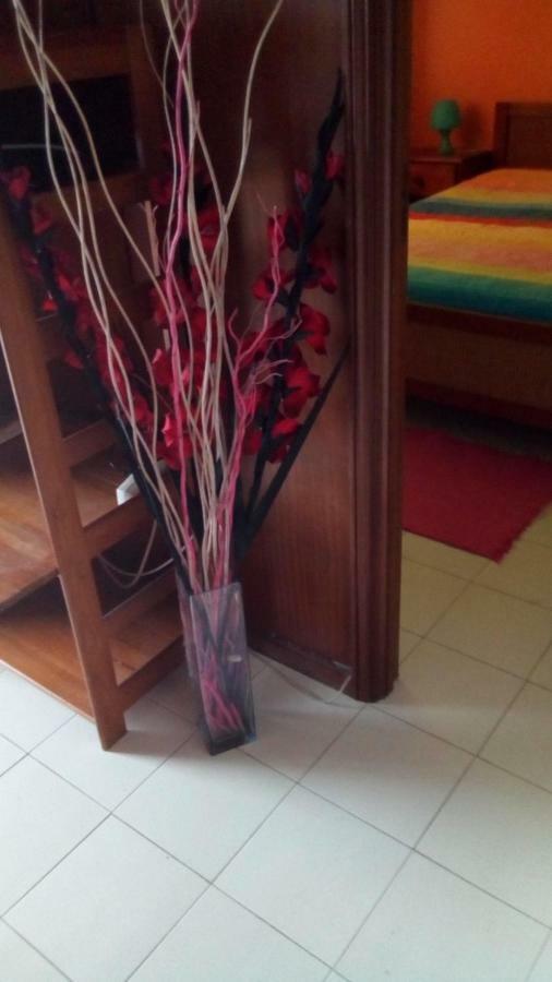 Gafanha da Encarnacao Casa Das Riscas Verdes מראה חיצוני תמונה